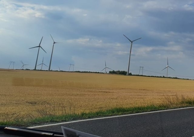 Investiţiile globale în energia verde, egale cu cele din industria combustibililor fosili