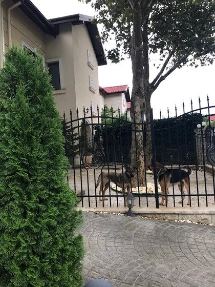 Ce “fiare” și-a angajat Andreea Marin ca să o păzească de hoți!