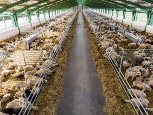 Energia fotovoltaică vine în ajutorul sistemului energetic european în contextul cererii mari pentru aer condiţionat