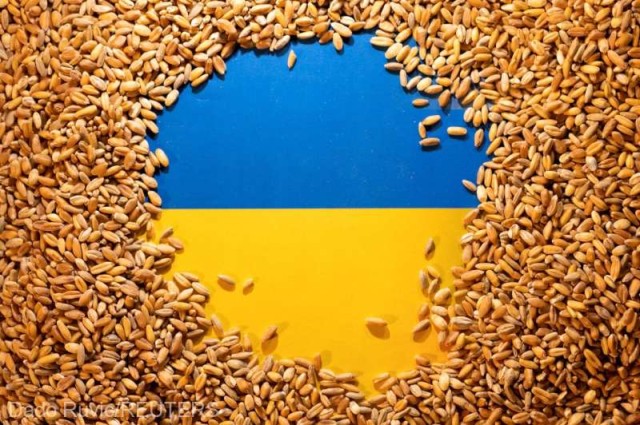 Aproximativ 601.000 tone cereale din Ucraina trec prin portul românesc Constanţa de la Marea Neagră