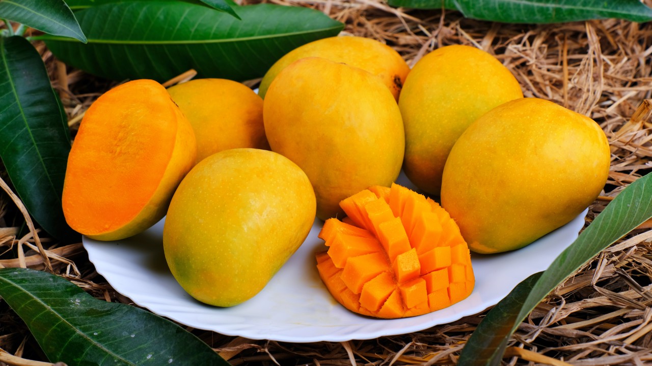 Fructele mango: beneficii și elemente nutritive