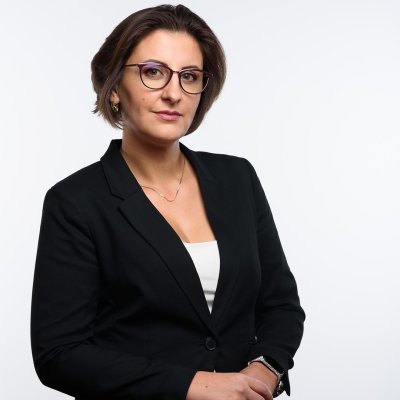 Cristina Rizea, REPER: un nou ministru plagiator la cârma învățământului românesc