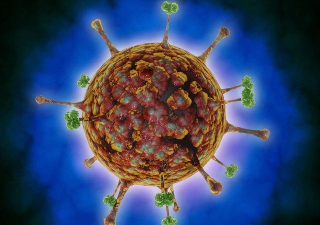Alertă! Henipavirus, un nou virus de origine animală, a fost descoperit la oameni