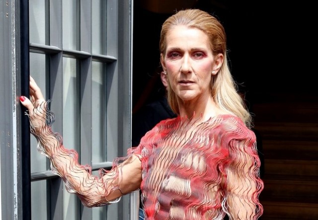 Céline Dion a revenit pe social media după luni întregi de tăcere!
