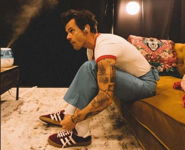 Harry Styles, 'devastat' după ce concertul său de la Copenhaga a fost anulat în urma atacului armat