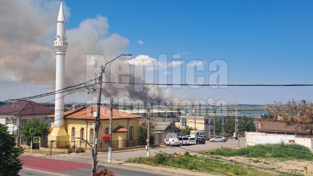 Incendiu de vegetație uscată, la intrarea în Peninsulă! Video