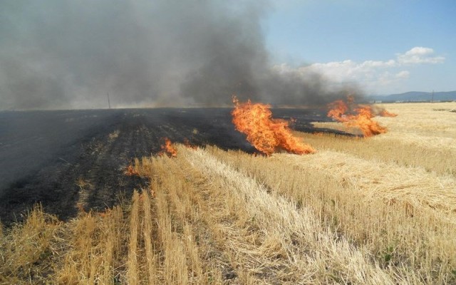 Senat: Incendierea intenționată și necontrolată a terenurilor, faptă penală