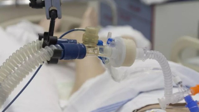 Alertă în România! Crește numărul de persoane infectate cu virusul West Nile