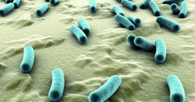 A fost identificată bacteria care a provocat îmbolnăvirile misterioase de pneumonie în Argentina
