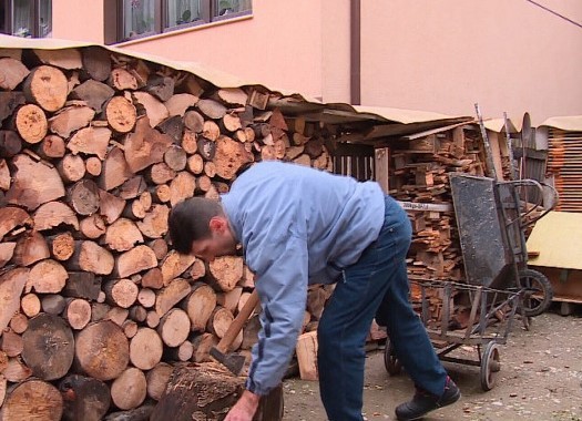 Guvernul plafonează prețul lemnului de foc la 500 de lei pentru un metru cub
