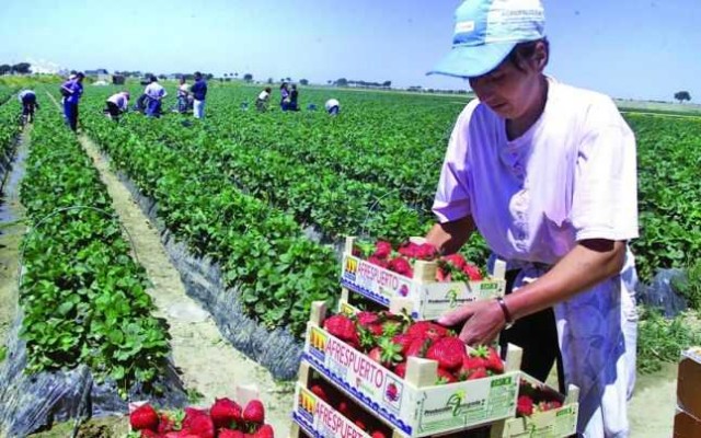 Noi reguli pentru românii care pleacă la muncă în străinătate