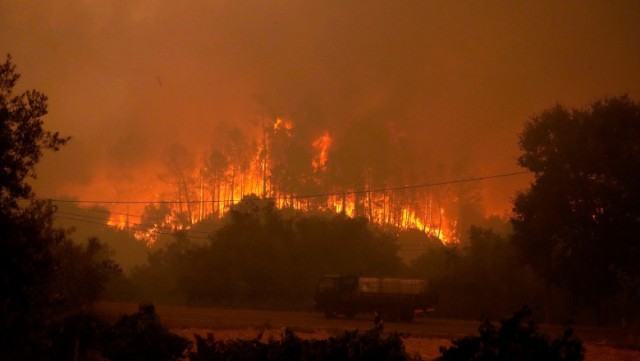 Portugalia: Peste 50 de persoane au fost arestate anul acesta pentru incendiere intenţionată