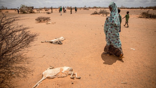 Somalia, din nou în pragul foametei