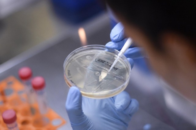 Cercetătorii italieni au creat un vaccin anti-cancer 'foarte promiţător'