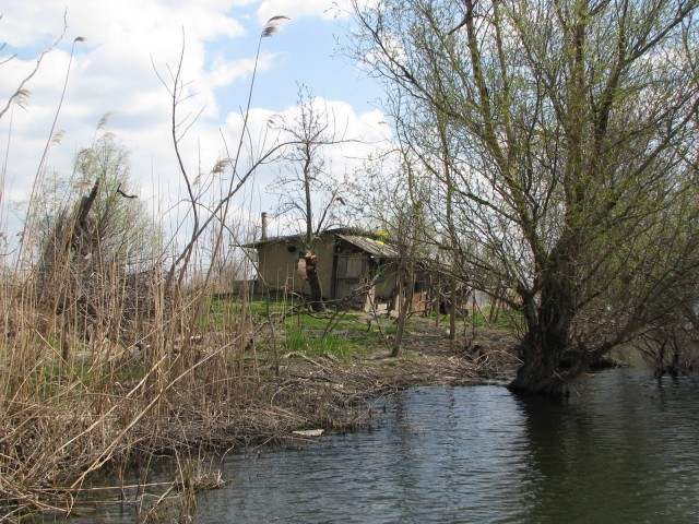 Fosta firmă a Adrianei Pandele s-a abonat la banii primăriilor din Constanța