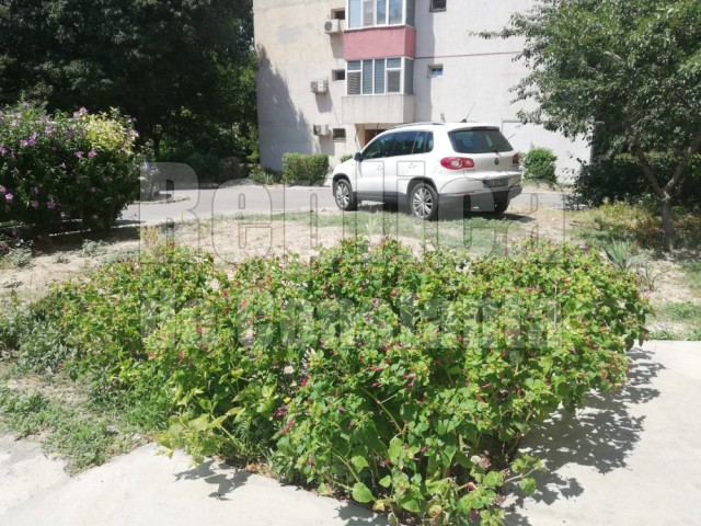 Un șofer din Gorj a crezut că în Constanța spațiile verzi sunt locuri de parcare