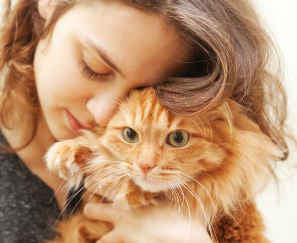 Ce complicații grave poate da boala zgârieturii de pisică