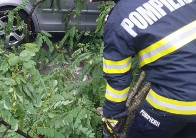 Pompierii, intervenție pentru degajarea unui copac căzut pe strada București 
