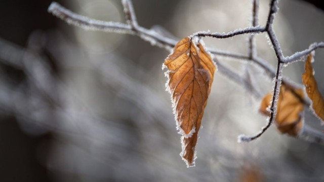Prognoza meteo de două săptămâni: ANM anunță că vremea se răcește accelerat