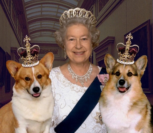 Corgii reginei vor locui cu ducele şi ducesa de York