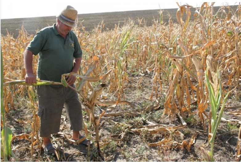 Schimbările climatice au cauzat pierderi economice de peste 145 miliarde de euro în UE