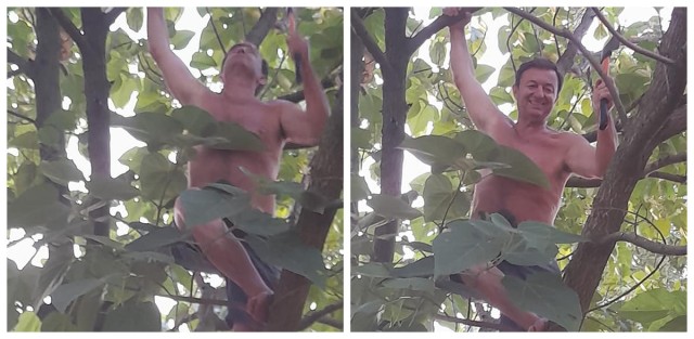 Fostul primar din Bărăganu se crede Tarzan și... se suie în copaci!