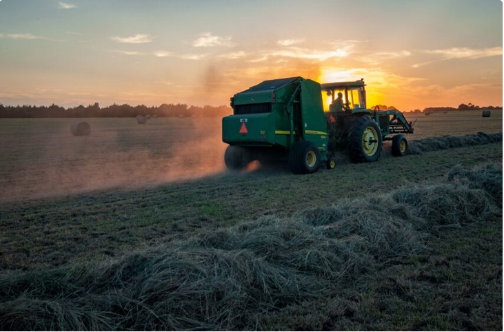 Agricultorii s-au trezit în miez de noapte cu Petre Daea pe câmp