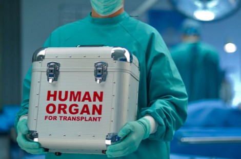 Studiu: Organele de la donatorii mai în vârstă accelerează îmbătrânirea la beneficiarii de transplanturi