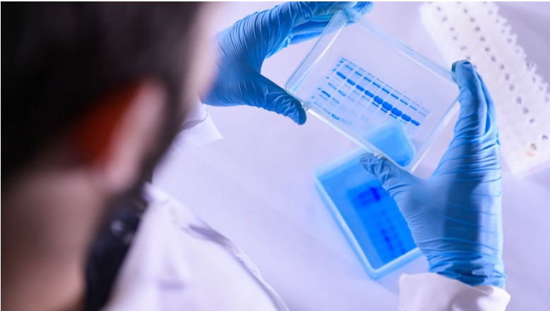 O bacterie care cauzează o boală rară și gravă a fost descoperită în SUA