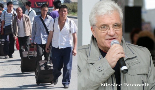 Ucrainenii nu se înghesuie să muncească pe litoralul românesc