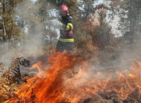 Pompierii români continuă lupta cu incendiile din Franța. Video