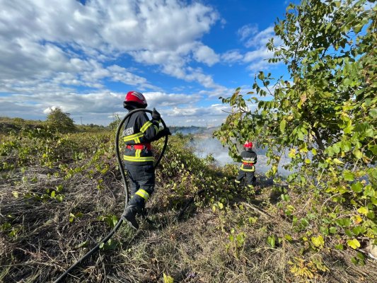 Incendiu de vegetație uscată, în zona variantei Tulcea