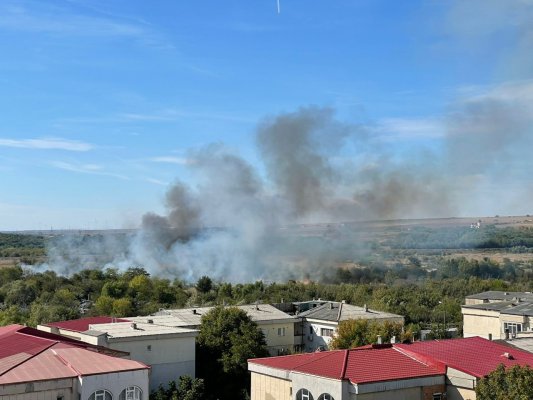 Incendiu de vegetație uscată, în Medgidia