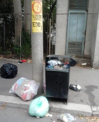 Amenzi usturătoare pentru aruncarea gunoiul pe domeniul public, aplicate de polițiștii locali