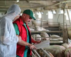 Amenzi în valoare de 23.000 lei pentru crescătorii de animale care nu respectă legea Amenzi în valoare de 23.000 lei pentru crescătorii de animale care nu respectă legea