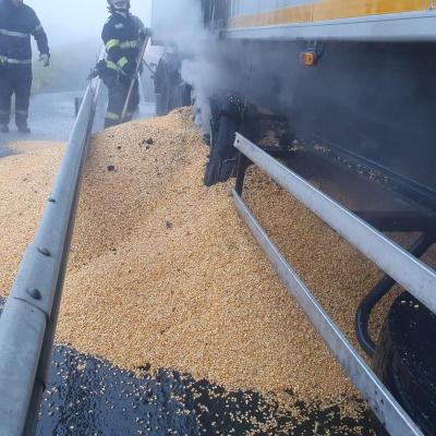 Incendiu la un camion, pe A2, sensul către Constanța