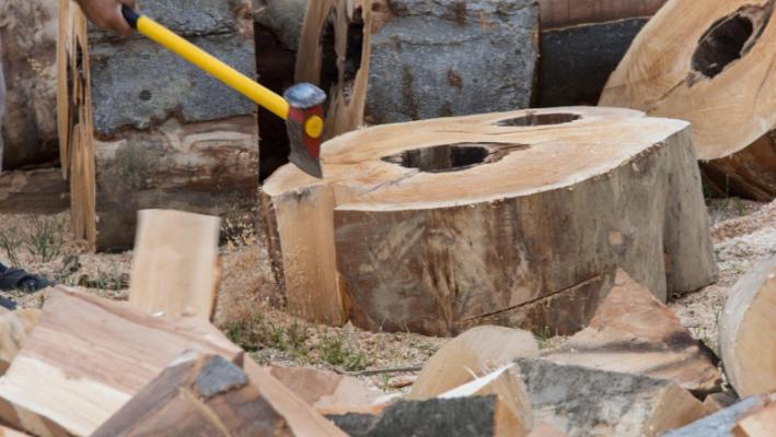 Guvernul va plafona prețul lemnului pentru foc la 400 de lei pe metru cub