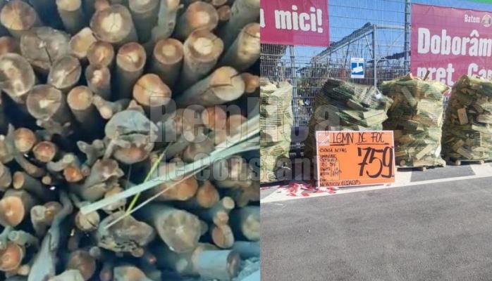 Lemnele de foc pentru iarnă au devenit un lux pentru toată lumea! Video