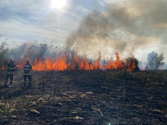 Incendiu în zona localității Jurilovca 