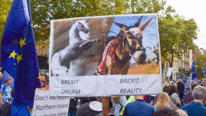 Mii de britanicii au protestat și au cerut ca Regatul Unit să revină în UE 