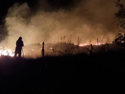 Incendiu devastator în cimitirul din Slava Rusă. Video