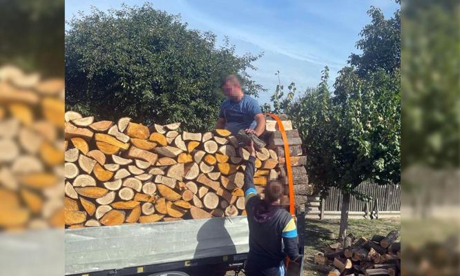 Individ din Hârșova, reținut după ce a înșelat un vârstnic care a cumpărat lemne de foc 