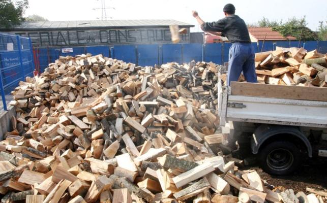 Volumul de masă lemnoasă recoltată a scăzut cu 1,068 milioane mc, în 2023