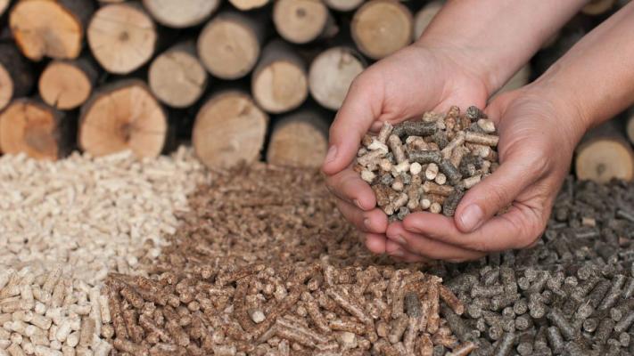 Prolemn: Lemnul de foc, peleţii şi bricheţii au dispărut din oferta marilor retaileri după plafonarea preţului