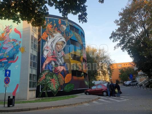 Pictura murală de pe parcarea supraetajată a Spitalului Județean stârnește controverse! Video