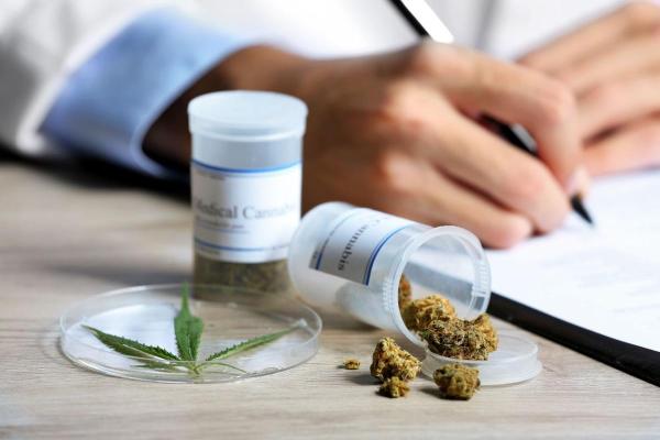 Un grup de experţi din Japonia, în favoarea utilizării medicamentelor derivate din canabis