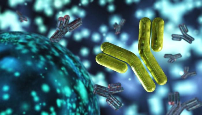 Un medic prezintă bacteria rezistentă la toate antibioticele