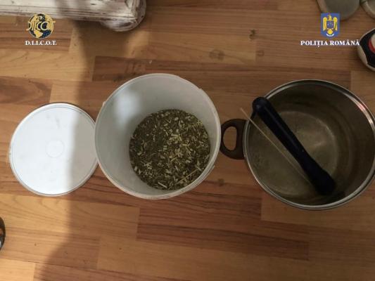 Traficanți de droguri de mare risc din Constanța și Mangalia, reținuți