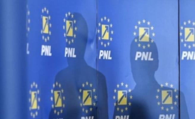 BPN al PNL: Coordonatorii de campanii electorale - Florin Roman, Rareş Bogdan şi Dan Motreanu