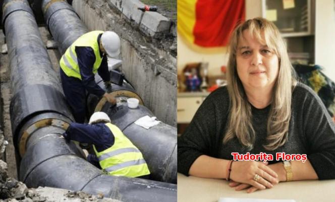 Dumbravă, de la ecologiști, a prins un contract de 2,5 milioane de euro, în Ion Corvin